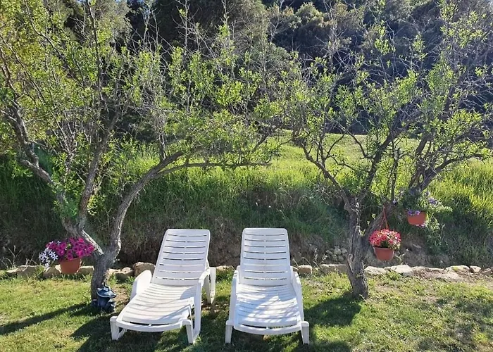 Διαμέρισμα Zeljka B