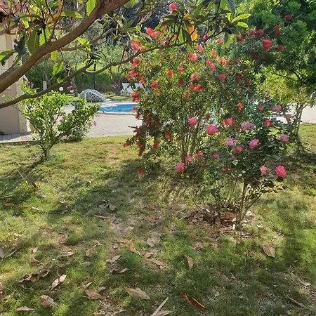 Zeljka B * Mundanije